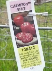 Tomato label attached to wire cage