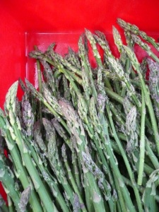 Fresh picked asparagus